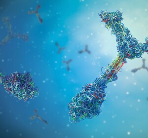 Image showing an artist’s concept of immunoglobulin antibodies.Against a light blue background is a close up of an illustration of two Y-shaped immunoglobulin antibodies