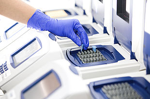 Image of a scientist using a real-time cycler to copy DNA