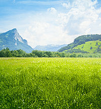 Image showing a meadow in the mountains