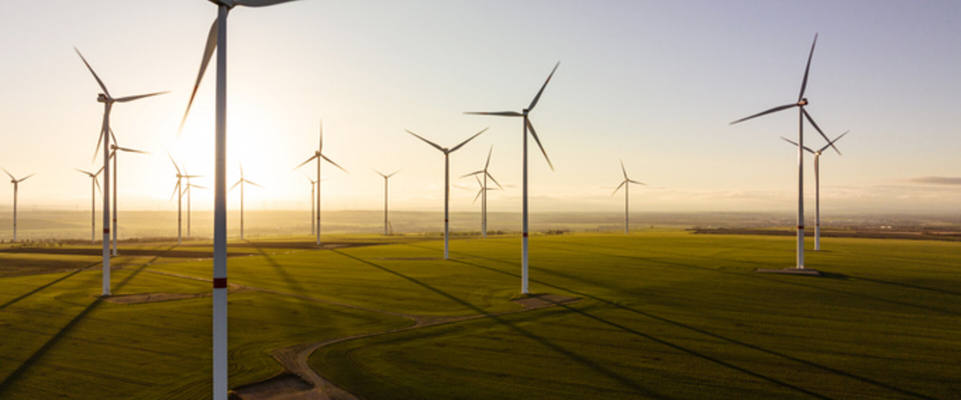 Image showing 17 turbines in a rural wind farm against the sunrise