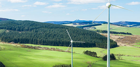 Local wind power generation picture