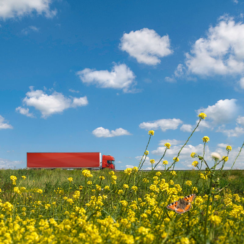 Image showing a long red transport truck in a flower filled landscape