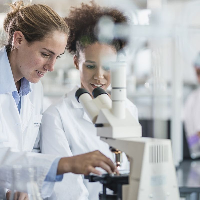 Image showing two scientists examiining a sample with a microscope