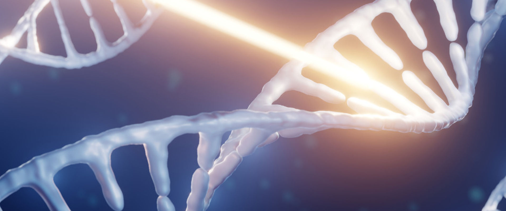 Artists impression showing a close up of three pale DNA strands against a dark blue background. The centre strand is being impacted and damaged by a bright beam of light