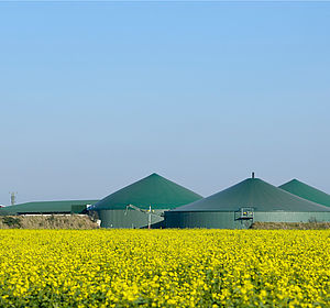 Image showing a biogas plant is a field of raper seed