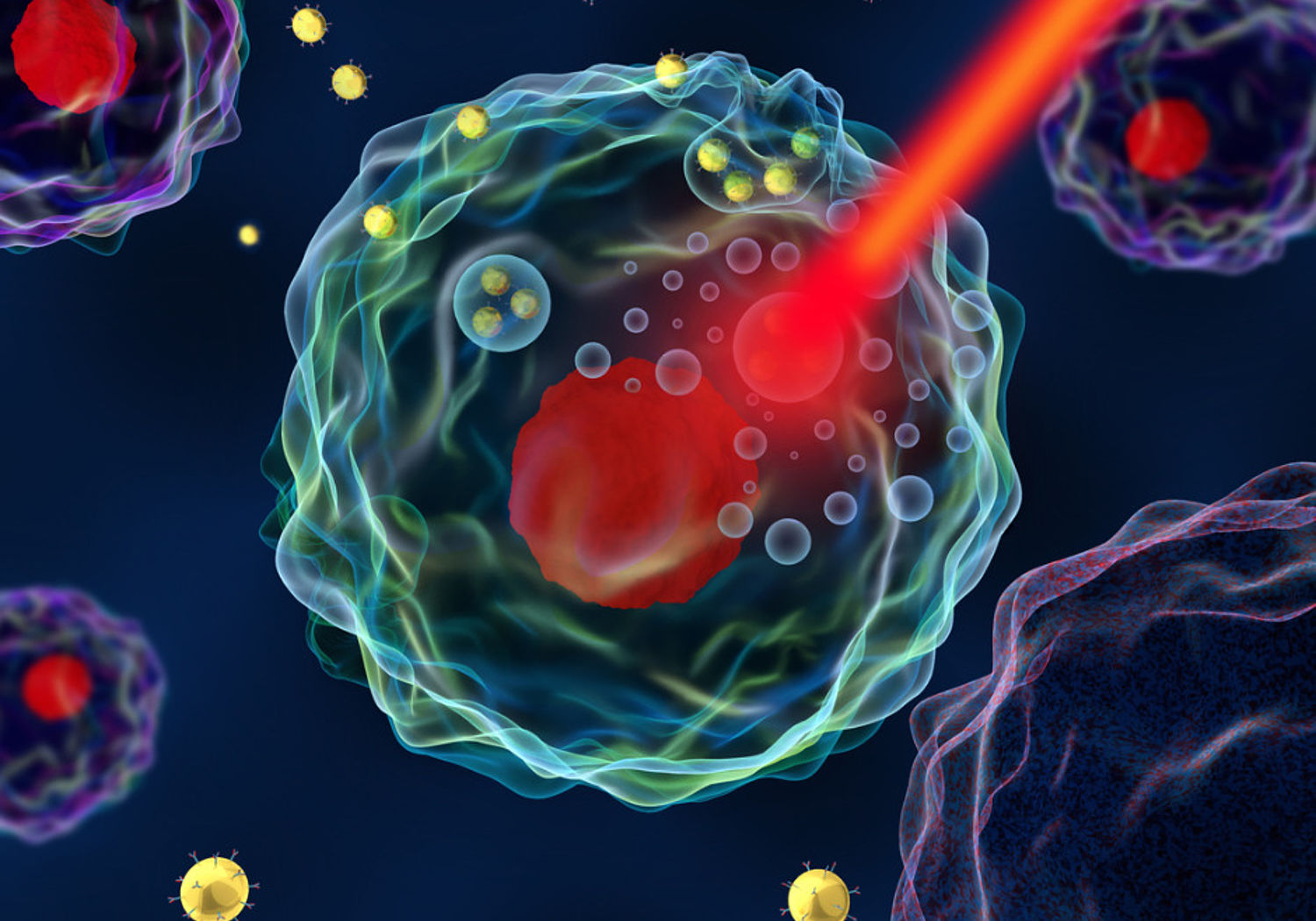 Image of a cancer cell undergoing hyperthermia treatment