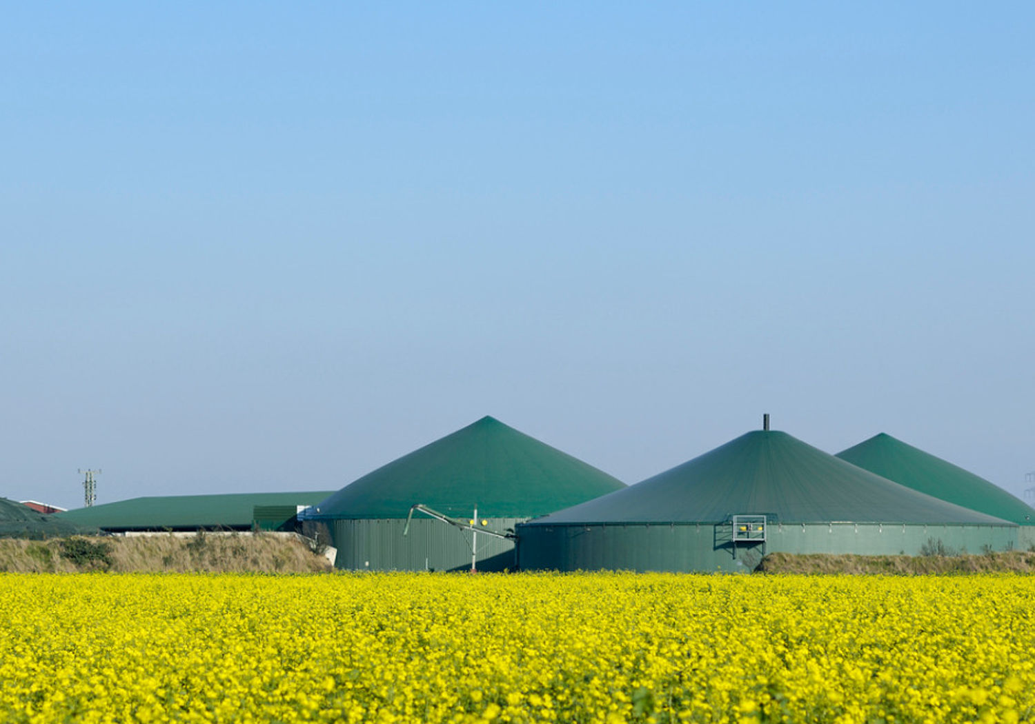 Image showing a biogas plant is a field of raper seed