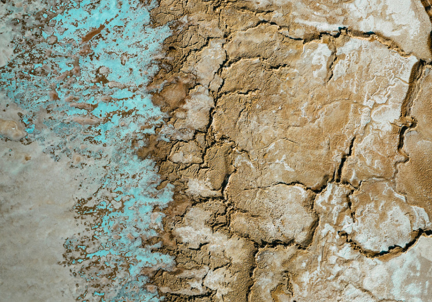 Image showing dry and cracked soil