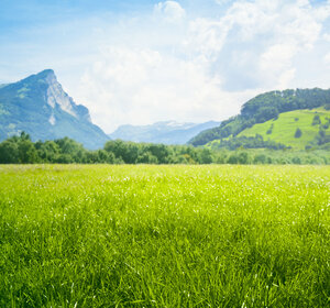 Image showing a bright green meadow with mountains in the distance