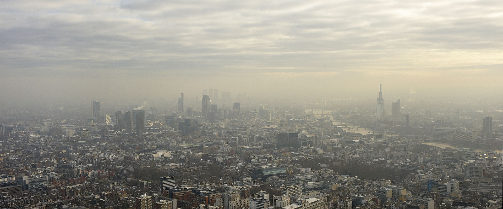 © Roddy1red © Roddy1red