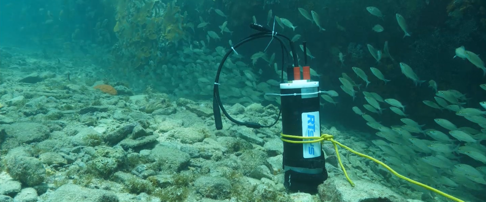 New measurements to protect the marine environment