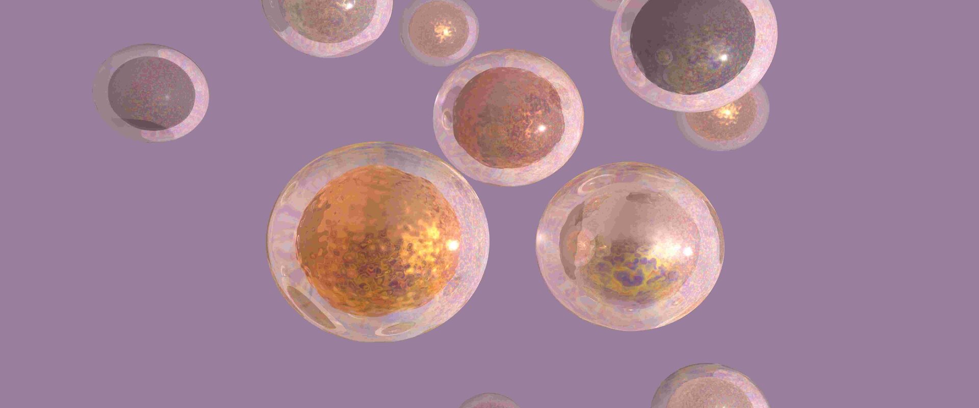 Credit: NPL, UK Credit: NPL, UK