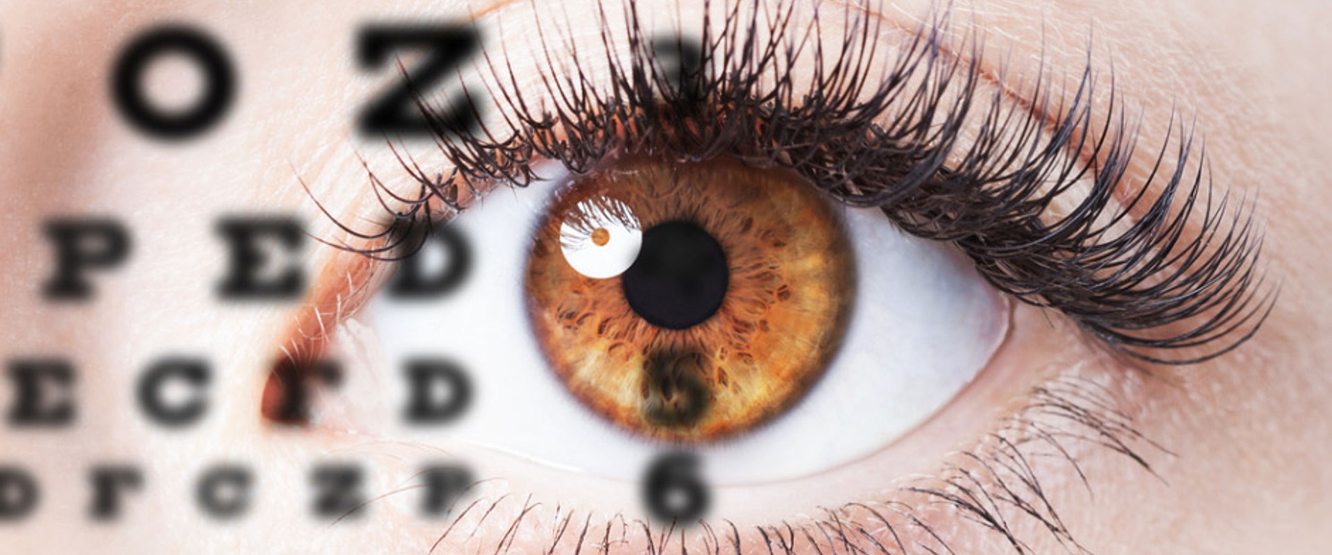 Eye picture id511926090