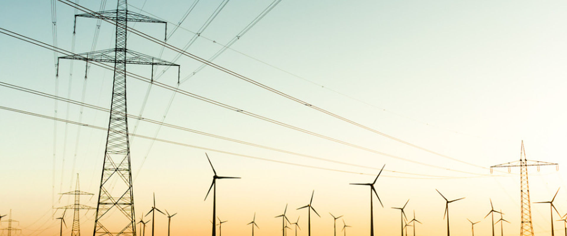 Power poles and wind turbines in autumn sunlight picture Power poles and wind turbines in autumn sunlight picture