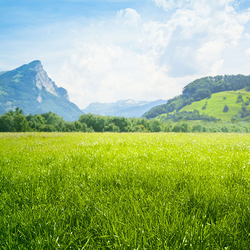 Metrology for chemical pollutants in air Image showing a meadow in the mountains