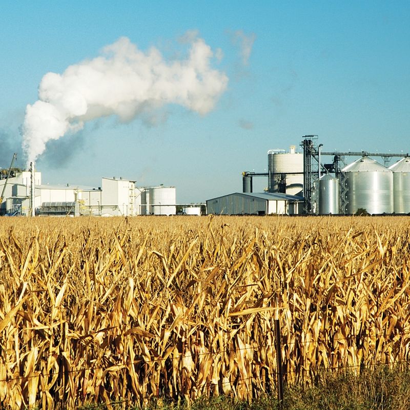 Metrology for biofuels